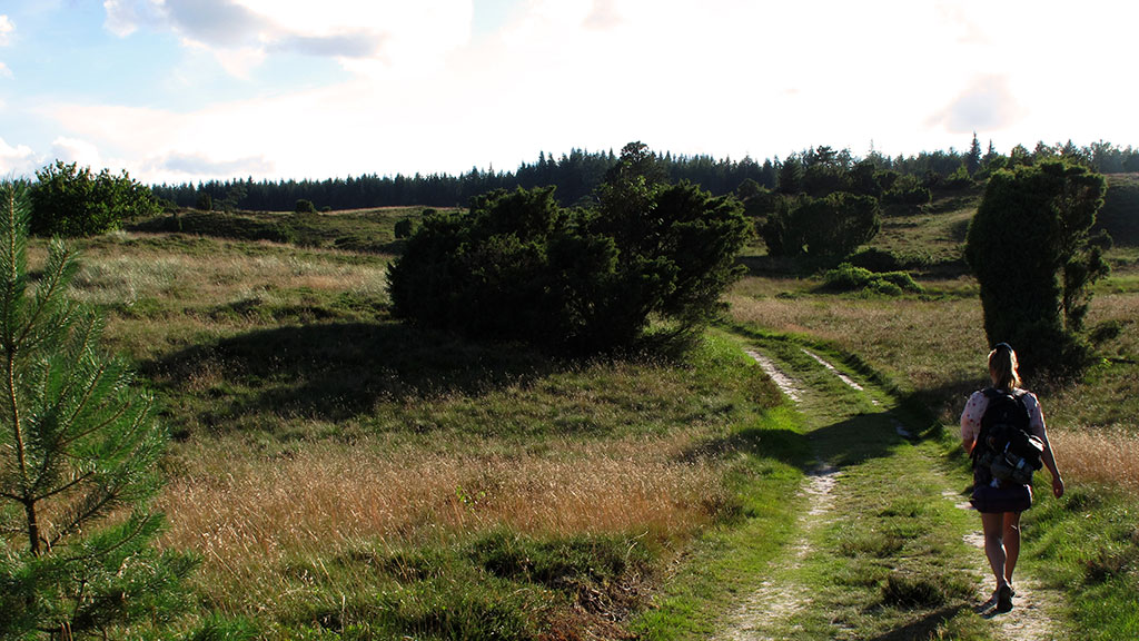 Må din vej gå dig i møde